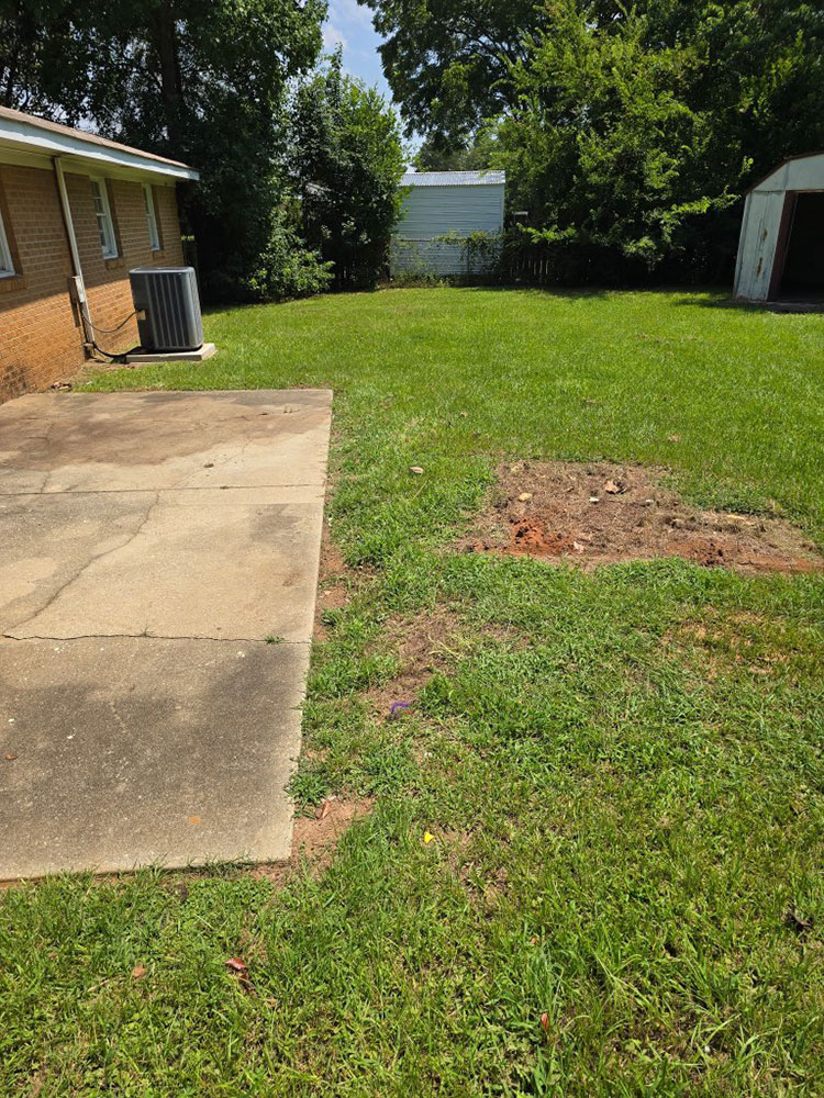 Yard-Cleanup-003