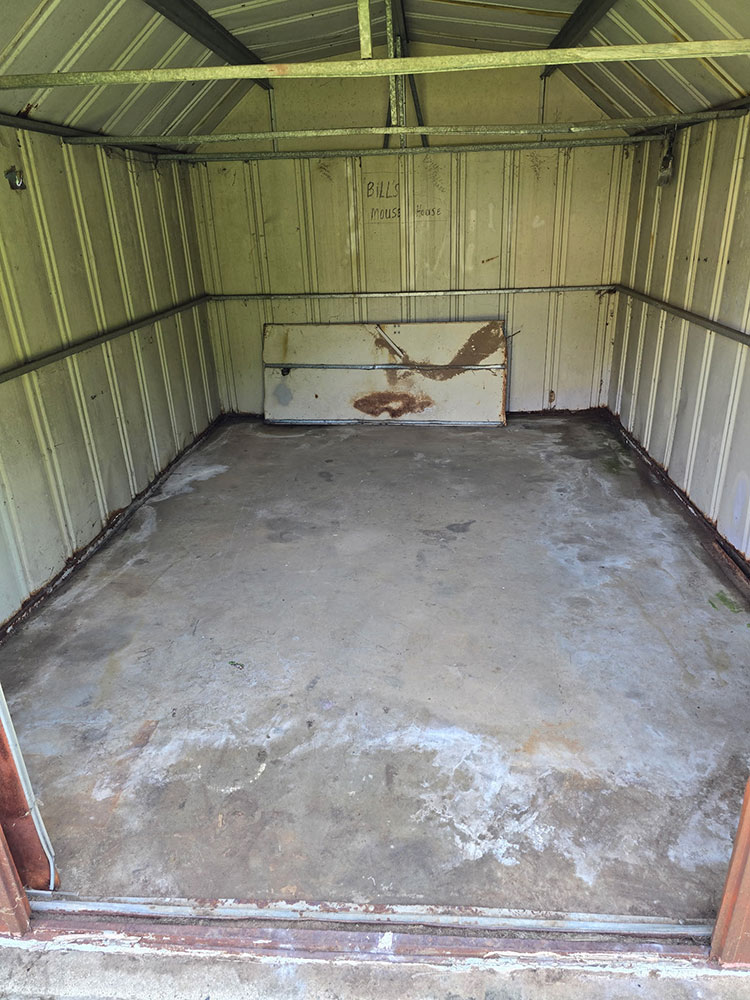 Yard-Cleanup-004