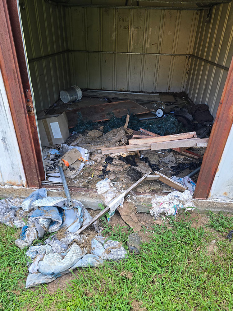 Yard-Cleanup-005