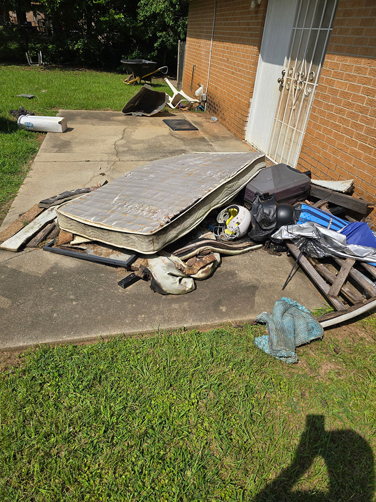 Yard-Cleanup-007